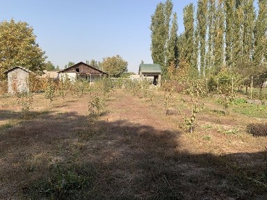 Продается дачный дом в пригороде с фруктовоми деревьями