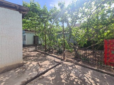 Ташкентская область, Газалкент