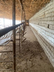 Ташкентская область, Янгиюль