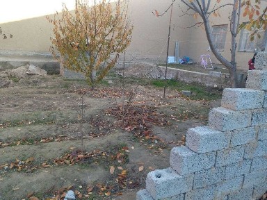 Самаркандская область, Самарканд