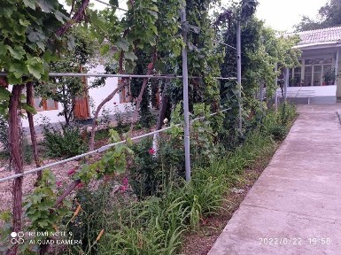 Ташкентская область, Зангиата