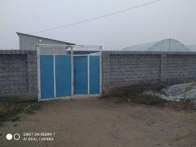 Ташкентская область, Чиназ