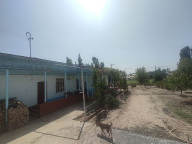 Кибрай туман Чинобод м. ф.й. да уй сотилади