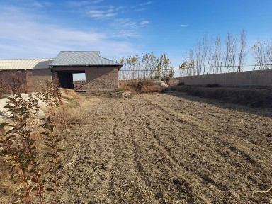 Uy sotiladi 12.4 sotix paxtachi tumani bek tuyxonasi orqasidagi ko'cha