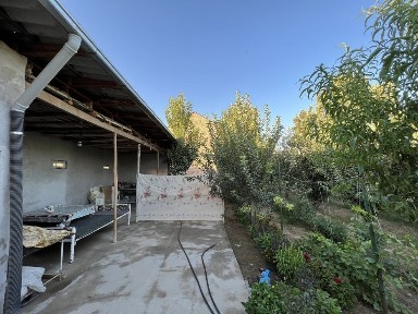 Ташкентская область, Ташкент, Учтепинский район