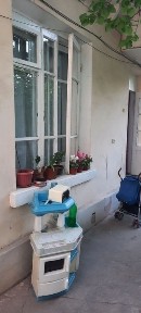 Ташкентская область, Ташкент, Мирзо-Улугбекский район