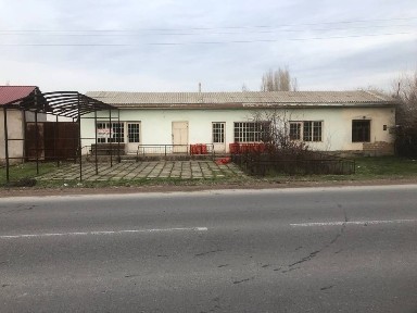 Ташкентская область, Нурафшан (Тойтепа)