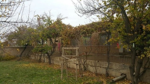 Навоийская область, Навои