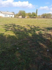 Ташкентская область, Бука