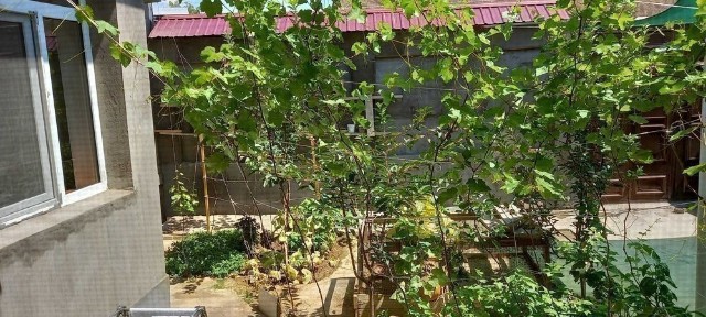 Ташкентская область, Ташкент, Юнусабадский район