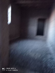 Qora yantoq Bog'ot tumani