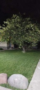 Паркент, Ташкентская область