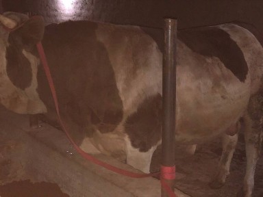 Ташкентская область, Ташкент, Чиланзарский район