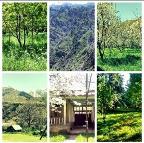 Ташкентская область, Газалкент