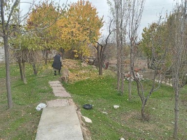 Ташкентская область, Назарбек