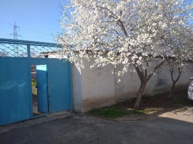 Ташкентская область, Эшангузар