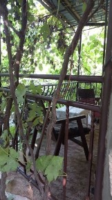 Ташкентская область, Чарвак