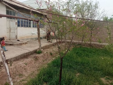 Кашкадарьинская область, Янги Миришкор