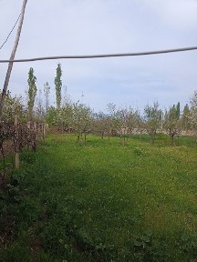 Кашкадарьинская область, Китаб