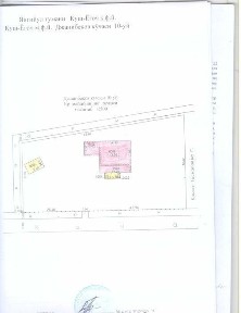 Ташкентская область, Янгиюль