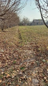 Ташкентская область, Ташкент, Мирзо-Улугбекский район