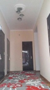 Нокис каласы А. Досназаров 33-домда