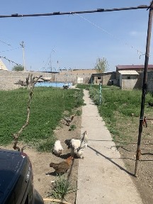 Самаркандская область, Самарканд