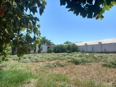 Сурхандарьинская область, Термез