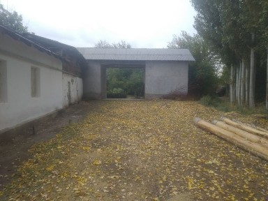 Ташкентская область, Янгибазар