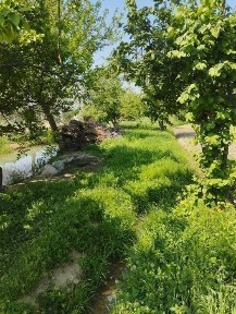 Ташкентская область, Кибрай