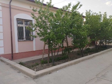 Навоийская область, Навои