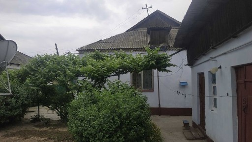 Сырдарьинская область, Сырдарья