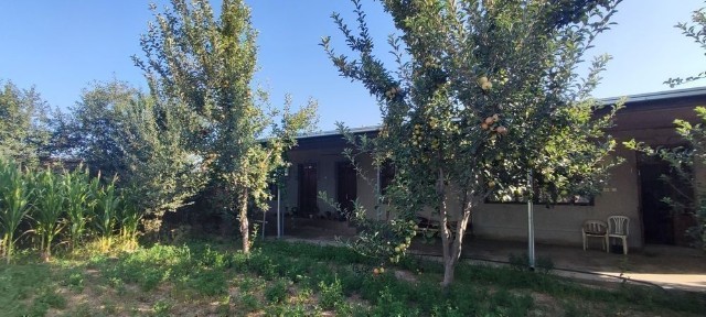 Ташкентская область, Зангиата