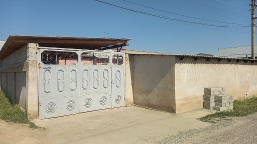 Сырдарьинская область, Янгиер