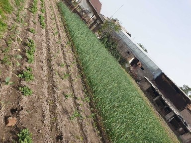 Ташкентская область, Дустабад