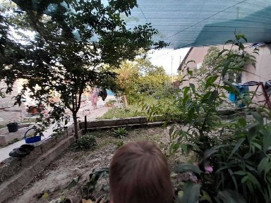 Ташкентская область, Ташкент, Сергелийский район