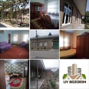 Ташкентская область, Нурафшан (Тойтепа)