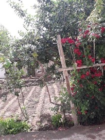 Бухарская область, Каган