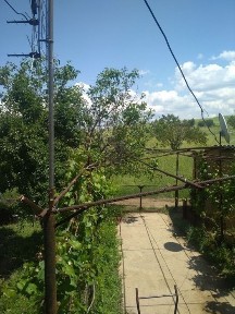 Ташкентская область, Ташкент, Яшнабадский район