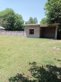 Ташкентская область, Нурафшан (Тойтепа)