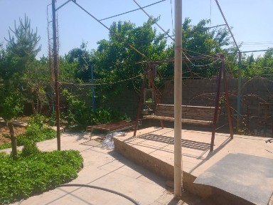 Ташкентская область, Янгибазар