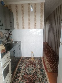 Ташкентская область, Алмалык