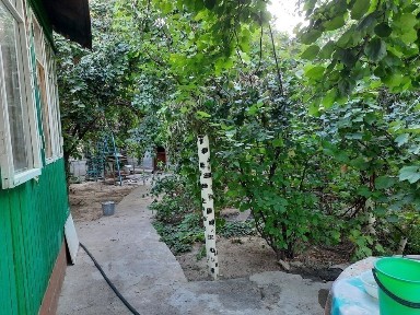 Ташкентская область, Ташкент, Шайхантахурский район