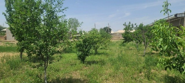 Кашкадарьинская область, Гузар