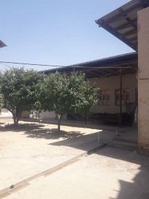 Ташкентская область, Зангиата