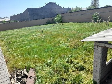 Ташкентская область, Келес