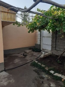 Ташкентская область, Пскент