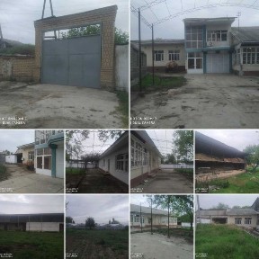 Ташкентская область, Янгиюль