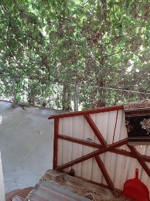 Сырдарьинская область, Гулистан