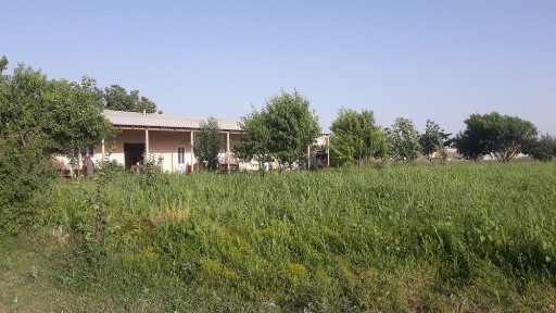 Самаркандская область, Джамбай